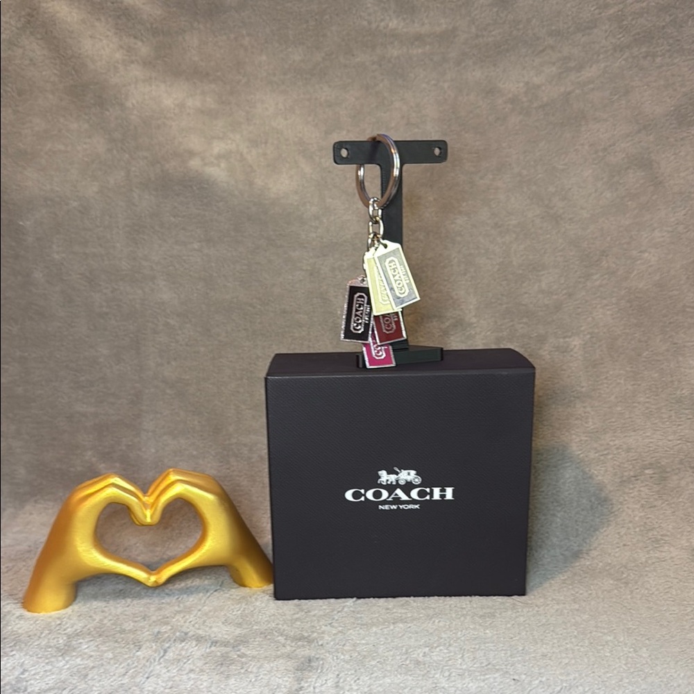 💜COACH💜Multicolor Tags Keychain in Silver/EUC